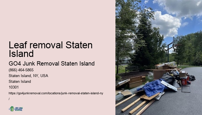 Leaf removal Staten Island top junk removal services